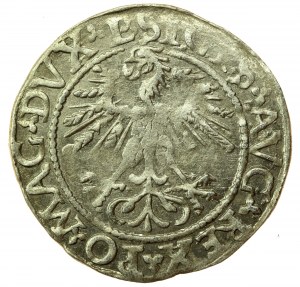 Sigismond II Auguste, demi-penny 1562 Vilnius, L/LITV (758)