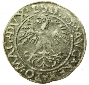 Sigismund II Augustus, Half-penny 1562 Vilnius, L/LITV (758)