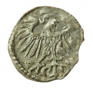 Sigismund II Augustus, Denarius 1553, Vilnius (760)