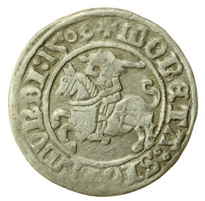 Sigismund I. der Alte, Halbpfennig 1509, Wilna (761)