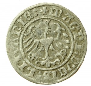 Sigismondo I il Vecchio, mezzo penny 1509, Vilnius (761)