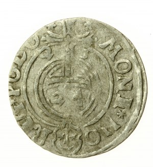 Sigismond III Vasa, Półtorak 1625, Bydgoszcz (764)