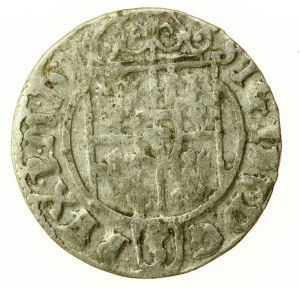 Sigismond III Vasa, Półtorak 1625, Bydgoszcz (764)