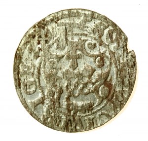 Sigismund III. Vasa, Schellfisch 1620, Riga - Fuchs rechts (765)