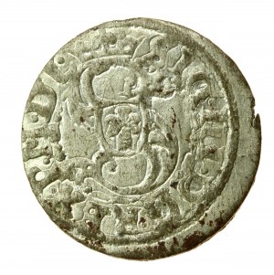 Sigismond III Vasa, Shelly 1619, Riga (769)