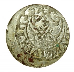 Sigismond III Vasa, Shelly 1619, Riga (769)