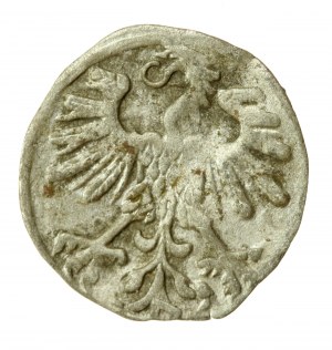 Sigismund II Augustus, Denarius 1559, Vilnius (771)