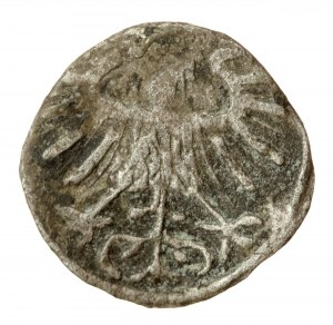 Sigismund II Augustus, Denarius 1557, Vilnius (772)