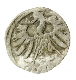 Sigismund II Augustus, Denar 1557, Vilnius (773)