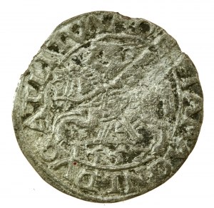 Sigismund II Augustus, Half-penny 1557, Vilnius. Rare (774)