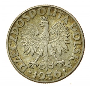 II RP, 2 zl. 1936 Plachetnice (804)