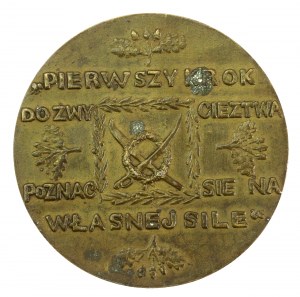 Medaglia per il 100° anniversario della morte di Tadeusz Kościuszko 1917, Vienna (920)