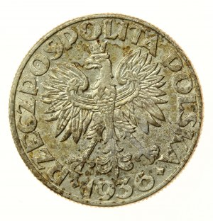 II RP, 5 złotych 1936, Żaglowiec (954)