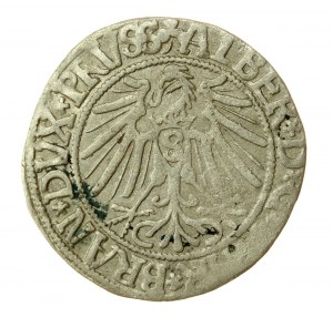 Ducal Prussia, Albrecht Hohenzollern, 1543 penny, Königsberg (975)