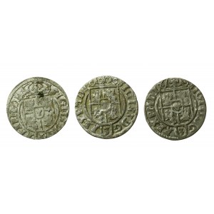 Sigismund III Vasa, a set of Bydgoszcz half-tracks. Total of 3 pieces. (71)