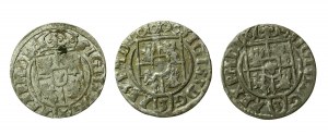 Žigmund III Vasa, súbor poltopánok z Bydhošti. Spolu 3 kusy. (71)