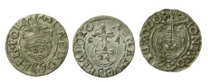 Žigmund III Vasa, súbor poltopánok z Bydhošti. Spolu 3 kusy. (73)