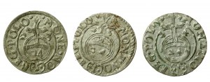 Žigmund III Vasa, súbor poltopánok z Bydhošti. Spolu 3 kusy. (74)