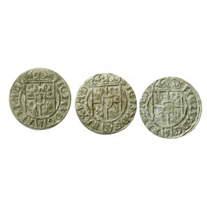 Sigismund III Vasa, a set of Bydgoszcz half-tracks. Total of 3 pieces. (74)