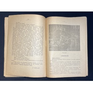 WIARUS. Pismo dla żołnierzy polskich wydawane przez Księgarnię Wojskową Sztabu Generalnego (Oddział VII). R. 2, z. 17: 2 II 1919. Zeszyt 5. Warszawa [1919]