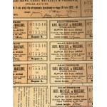 [1921] VARSAVIA. Stabilimento industriale KAROL MACHLEJD. 5 Azioni [5.000 marchi polacchi].