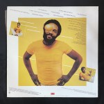 Roy Ayers - Everybody Loves The Sunshine (disco in vinile)