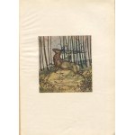 SZUCHOWA Stefania - Secrets of butterflies [after 1924, before 1936] [ill. Stefan Norblin].