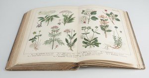 Botanický a zoologický atlas [konec 19. a začátek 20. století].