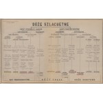 [maszynopis] MESTER Jan Kazimierz - Tablica pochodzenia ras róży szlachetnej i klucz do oznaczania ras oraz teksty i tablice dodatkowe [1936-1940]