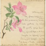 Tagebuch mit Einträgen für Zosia Nowicka aus Wloclawek [Jahre 1921-1926].