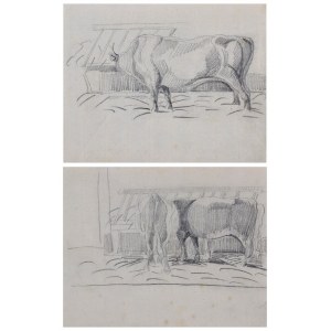 Piotr MICHAŁOWSKI (1800-1855), Cows - two drawings