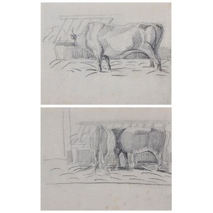 Piotr MICHAŁOWSKI (1800-1855), Kühe - zwei Zeichnungen
