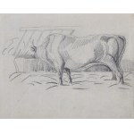 Piotr MICHAŁOWSKI (1800-1855), Krávy - dvě kresby
