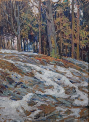 Ludwig MISKY (1884-1938), Winter - Meltdowns