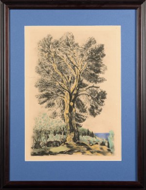 Mojżesz KISLING (1891-1953), Drzewo na Cote d'Azur, 1954