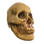 Carved stone skull