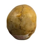 Carved stone skull