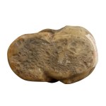 Carved stone skull