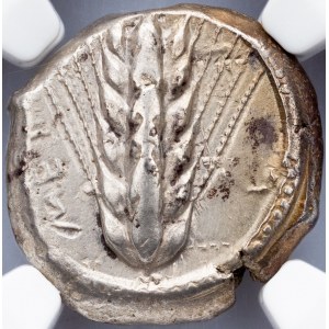 Lucania, Metapontum, Stater 470-440 BC