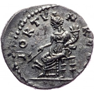 Septimius Severus, Denar 193-211