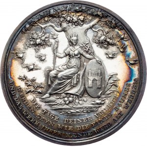 Hamburg, Medaille 1803, Loos