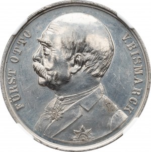 Te Tsung (Kwang Su), Medal 1896, Li Hung Chang