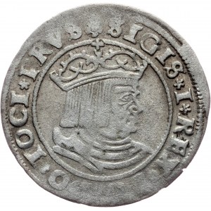 Sigismund I. Old, 1 Grosz 1529, Torun