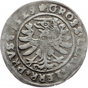 Sigismund I. Old, 1 Grosz 1529, Torun