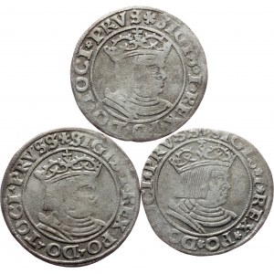 Sigismund I. Old, 1 Grosz 1530, Torun