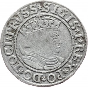 Sigismund I. Old, 1 Grosz 1533, Torun