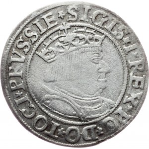 Sigismund I. Old, 1 Grosz 1534, Torun