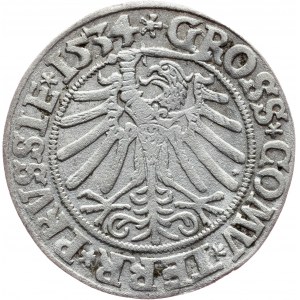 Sigismund I. Old, 1 Grosz 1534, Torun