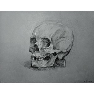 Barbara PUŁAWSKA (b. 2001), Study of a skull, 2023