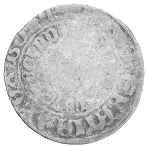 Prague penny, Ladislaus II Jagiellonian (1471-1516)